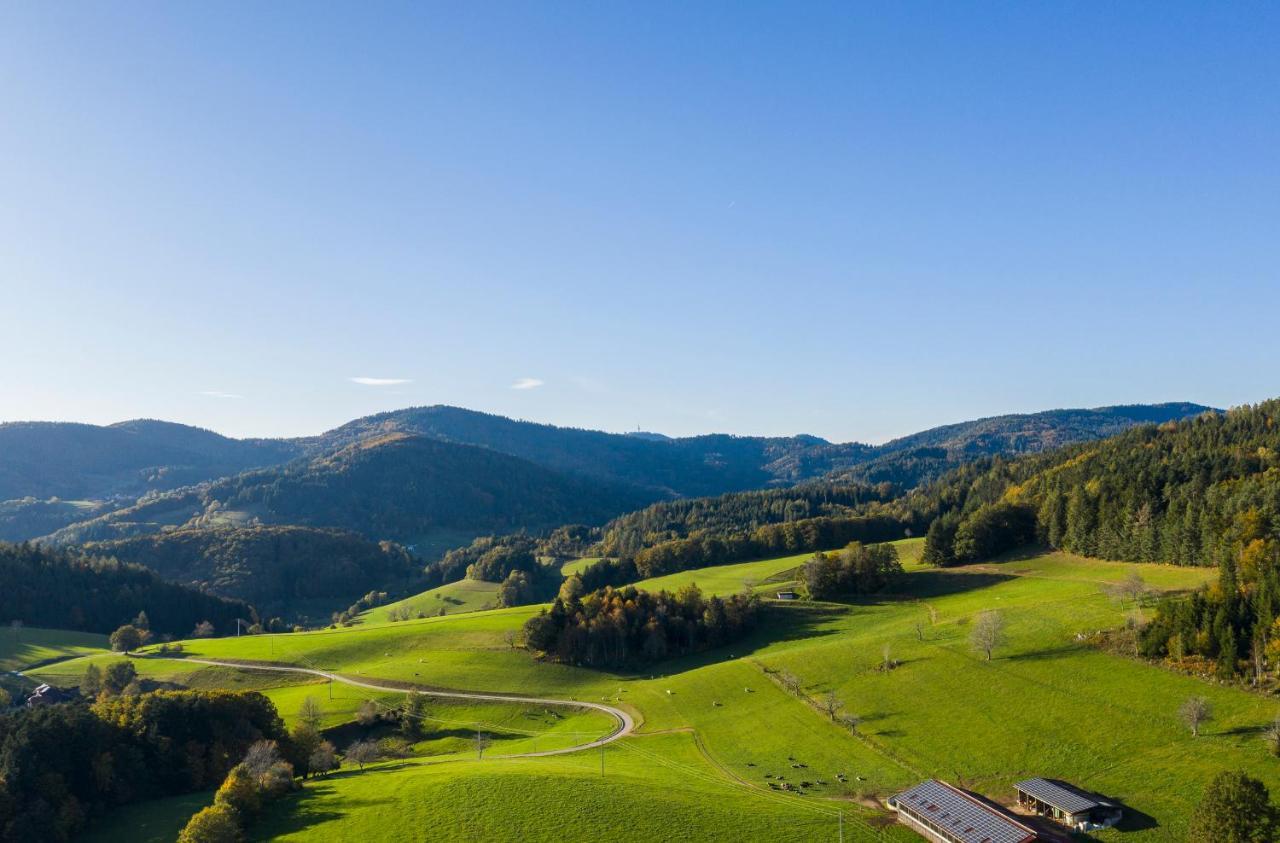Hotel-Restaurant Sennhuette Im Herzen Des Suedschwarzwalds Kleines Wiesental 外观 照片