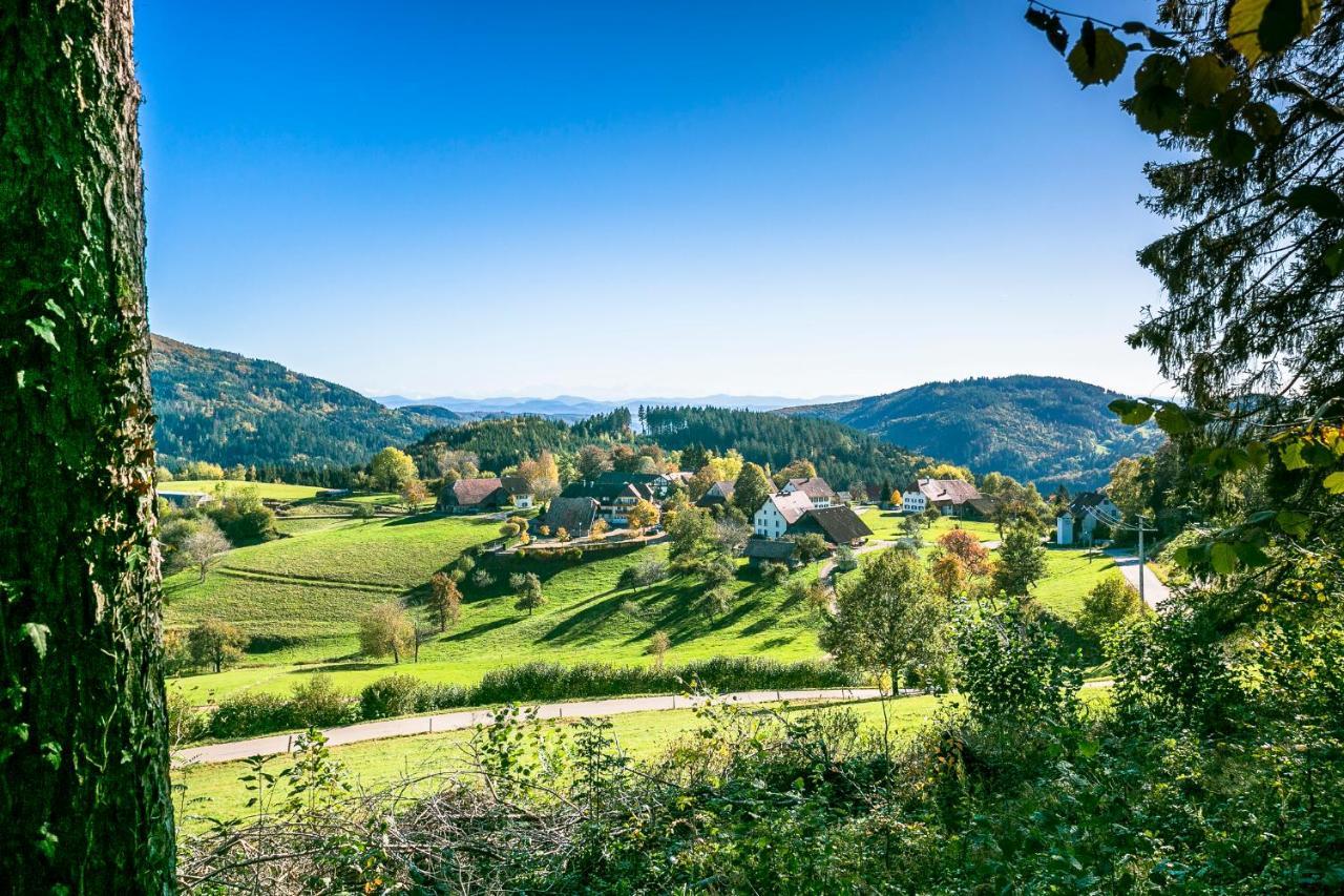 Hotel-Restaurant Sennhuette Im Herzen Des Suedschwarzwalds Kleines Wiesental 外观 照片